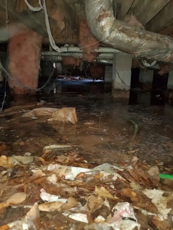 Crawl space flood assessment for Leak Detection & Repair in Santa Fe Springs